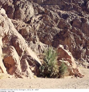 Mittlerer Sinai