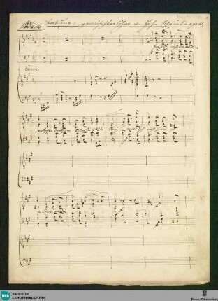Labung - Don Mus.Ms. 2584 : V (4), pf; A; IrmR JWV 93 IrmR op.25