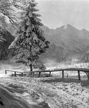 Winterbilder. Nadelbaum und Einfriedungszaun in verschneiter Gebirgslandschaft