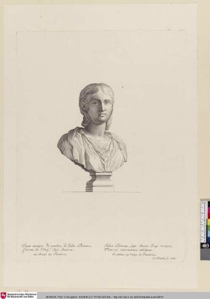 [Julia Domna]