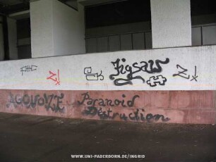 SK | Jigsaw | | Z! | AGONO!ZE Paranoid Destruction | PHC