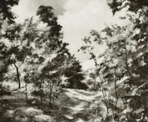 Waldlichtung