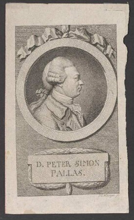 Porträt Peter Simon Pallas (1741-1811)