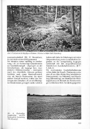 Abb. 4: Flachwellige Grundmoräne westlich Neubaugebiet Freesenberg /Ahz-Klausdorf)