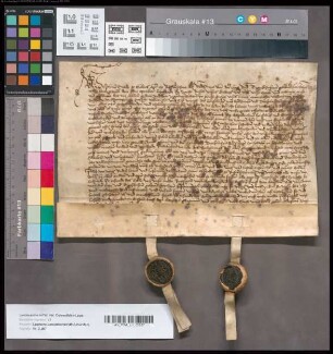 Graf Johann von Salm-Reifferscheidt und seine Ehefrau Anna zu Hoya-Bruchhausen verzichten gegen die Zahlung von 9000 rh. fl. auf die Herrschaften Hoya und Bruchhausen mit allen Gerechtsamen und Zubehör und erkennen Graf Jobst zu Hoya als rechtmäßigen Grafen an