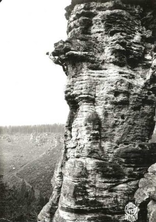 Sächsische Schweiz, Bielatal. Pfingstturm. Emanuel Strubich bei der Erstbegehung am Überhang des Südostweges (Strubichweg, VIIa)