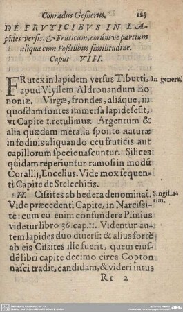 DE FRUCTICIBUS IN LAPIDES versis, & Fruticum, eorum ve partium aliqua cum Foßilibus similitudine. Caput VIII.