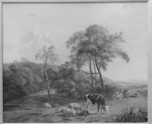 Hügelige Landschaft