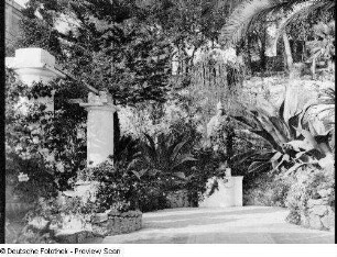 Capri, Via Tragara. Garten der Villa Andreae (heute Villa Capricorno). Ansicht mit Pergola und Statue