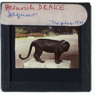 Drake, Jaguar