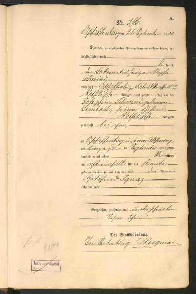 Standesamtsbuch der Stadt Aschaffenburg: Geburten 365/1900 - 184/1901