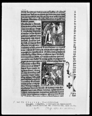 Avenares, Astrologische Handschrift — Buchseite mit Konstellationen der Sternbilder, Folio 12recto