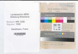 Entnazifizierung Franz Sandmann , geb. 13.01.1889 (Kaufmann)