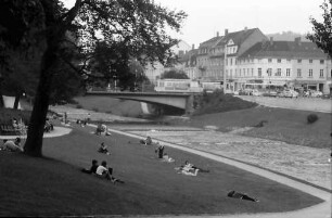 Freiburg: Dreisamwiese vom Spielplatz Schreiberstraße