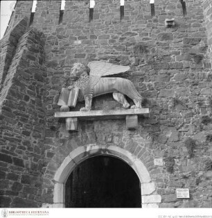 Markuslöwe