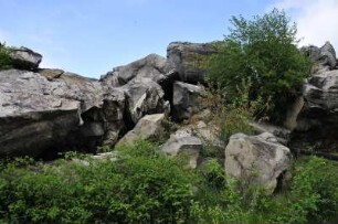 Harzvorland - Teufelsmauer : Zu den sehenswertesten Naturdenkmalen im nördlichen Harzvorland gehört die bis zu zwanzig Meter hohe "Teufelsmauer" bei Weddersleben. Aufgenommen am 12. Mai 2010