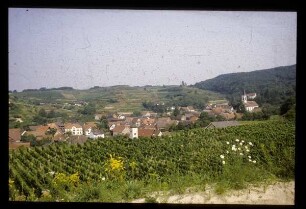 Blick über Amoltern