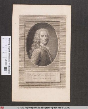 Porträt des Voltaire