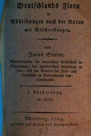 Deutschlands Flora : in Abbildungen nach der Natur mit Beschreibungen, 1,16. Abt. I., Phanerogamen ; H. 16