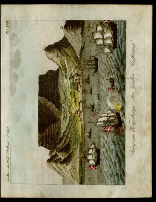 Taf. XVIII. Berg am Vorgebirge der Guten Hoffnung
