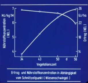 Ertrag und Nährstoffkonzentration in Abhängigkeit vom Schnittzeitpunkt (Wiesenschwingel)