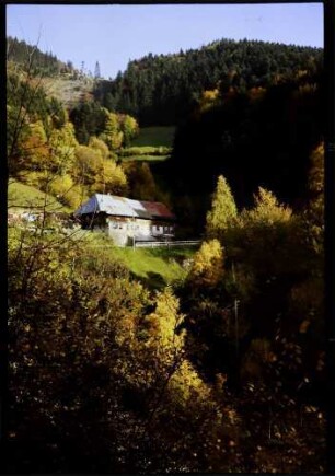 Münstertal, Obermünstertal: Bauernhaus an der Straße