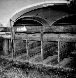 Schweinezucht eingestreuter Laufstall für niedertragende Sauen