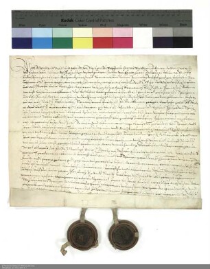 Revers der Brüder Albrecht und Hans Konrad von Thüngen zu Wolfsmünster und Windheim bezüglich der Belehnung mit einem Burggut in Bad Brückenau und weiteren im Einzelnen aufgeführten Lehen durch Balthasar [von Dernbach], Abt von Fulda