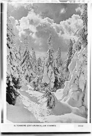Altenberg. Am Evaweg