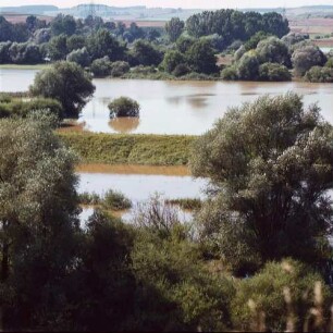 Der Donadurchbruch bei Weltenburg