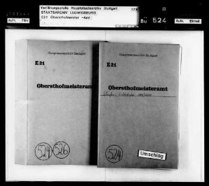 Geldstrafen: Verhängung von Geldstrafen für Vergehen der niederen Hofdienerschaft