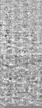 Lilie / Tj = S.7/8+17/18