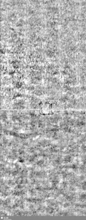 Lilie / Tj = S.7/8+17/18