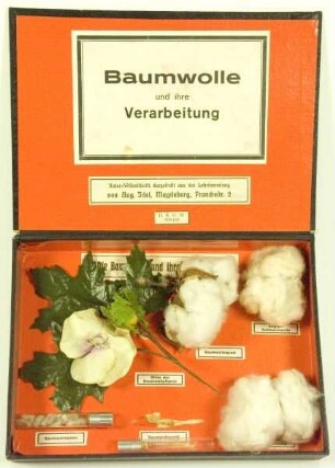 Baumwolle und ihre Verarbeitung