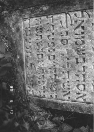Grabstein 296 (Index: 99799833) Material: Sandstein Zustand: verwittert, über 50ø schräg nach rechts geneigt, heute gerade gerichtet Maße HxBxT: 89x66x9 cm Beschreibung: Stele, eingezogener Rundbogenabschluß, Schriftfeld eingetieft: Grabstein 296 (Detailaufnahme)