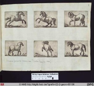 unten rechts: Ein stehendes Pferd, nach links gewandt.