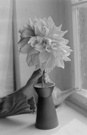 Vase mit Dahlie : Vase mit Dahlie