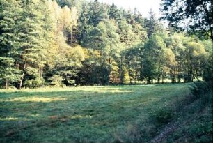 Wiese in einem Tal