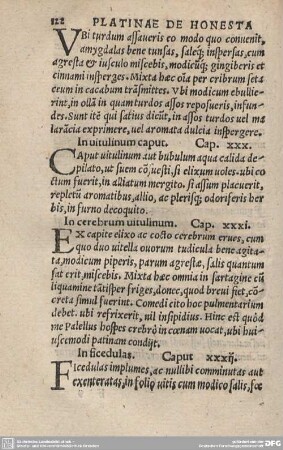 In cerebrum vitulinum. Cap. XXXI.