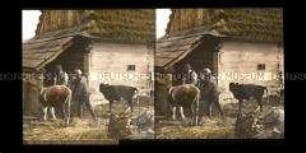 Bauer und Soldat auf einem Gehöft bei Limanowa