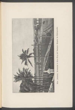 Eine "Alameda," Promenade in Vera-Cruz mit Ausspann (Pozada) im Hintergrunde. - [Fotografie]