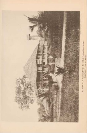 Woning van assistenten op eene tabaksplantage. Oostkust van Sumatra