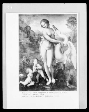 Leda