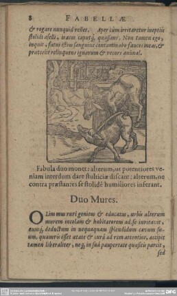 Duo Mures