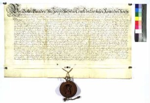 Lehensbrief von Joseph Wilhelm Ernst von Fürstenberg für Johann Mayer, Amtsbürgermeister und Hospitalpfleger zu Giengen