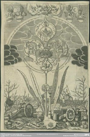 Solius Virtutis Flos Perpetuus