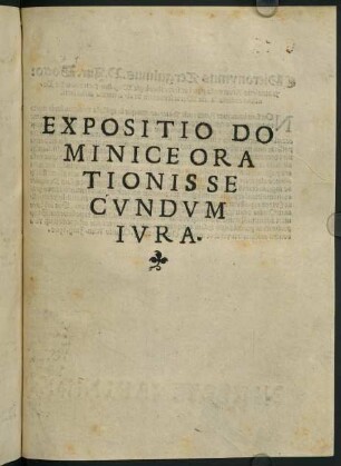 Auctoritates juris [iuris] Hieronymi Tergulini