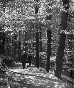 Eisenach. Weg zur Wartburg