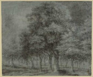 Große baumreiche Landschaft