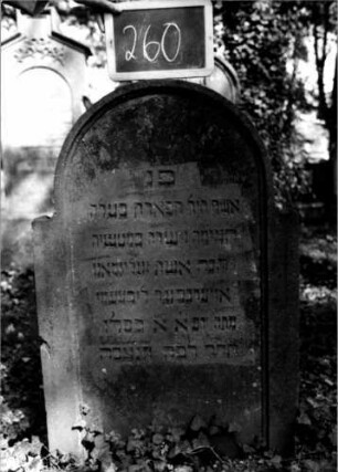 Grabstein 260 (Index: 100112092) Material: Sandstein Zustand: leicht verwittert Maße HxBxT: 104x66x11 cm Beschreibung: Stele, eingezogener Rundbogenabschluß, Schriftfeld eingetieft: Grabstein 260